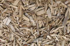 biomass boilers Woodale