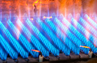 Woodale gas fired boilers